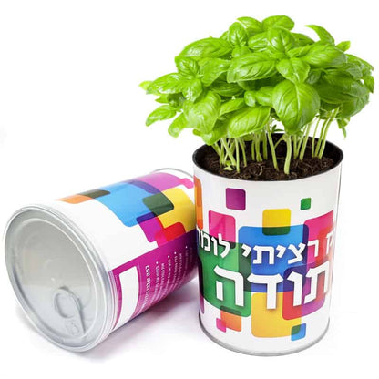 צמח בפחית – רק רציתי לומר תודה