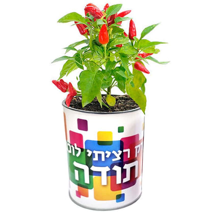 צמח בפחית – רק רציתי לומר תודה